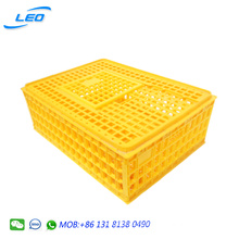 Best price plastic transport crate for chicken